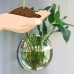 Hanging Glass Flower Planter Vase Terrarium Container Home Garden Ball Decor   